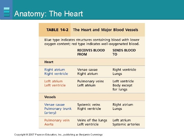 Anatomy: The Heart Copyright © 2007 Pearson Education, Inc. , publishing as Benjamin Cummings