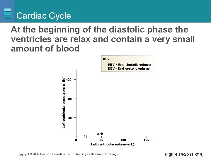 Cardiac Cycle At the beginning of the diastolic phase the ventricles are relax and