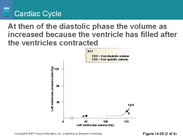 Cardiac Cycle At then of the diastolic phase the volume as increased because the