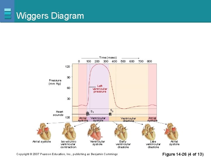 Wiggers Diagram 0 Time (msec) 200 300 400 100 500 600 700 800 120