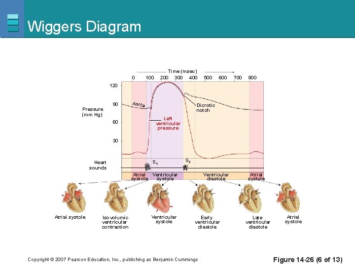 Wiggers Diagram 0 Time (msec) 200 300 400 100 500 600 700 800 120