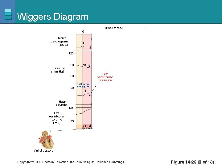 Wiggers Diagram Time (msec) 0 Electrocardiogram (ECG) P 120 Pressure (mm Hg) 90 Aorta