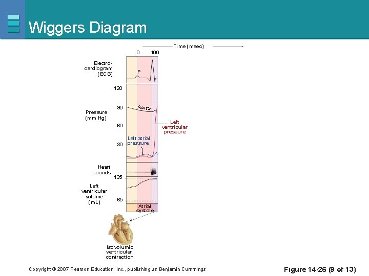 Wiggers Diagram Time (msec) 0 Electrocardiogram (ECG) 100 P 120 Pressure (mm Hg) 90