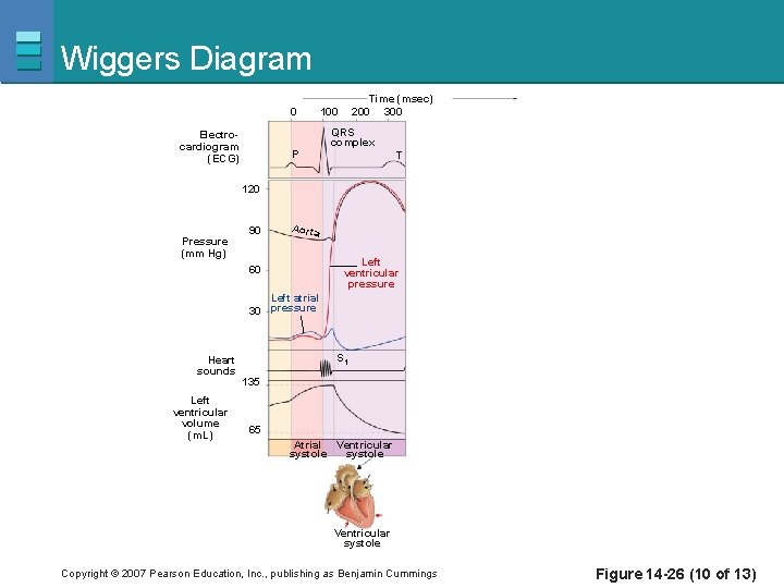 Wiggers Diagram 0 Electrocardiogram (ECG) P Time (msec) 200 300 100 QRS complex T