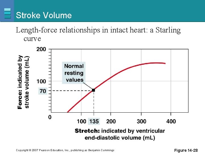 Stroke Volume Length-force relationships in intact heart: a Starling curve Copyright © 2007 Pearson