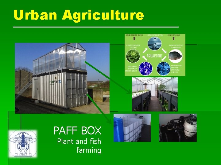 Urban Agriculture PAFF BOX Plant and fish farming 