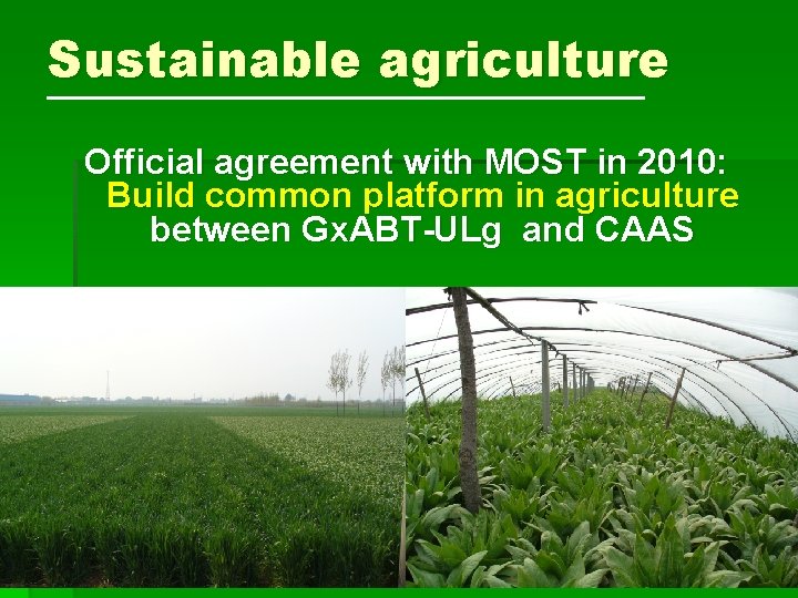 Sustainable agriculture Official agreement with MOST in 2010: Build common platform in agriculture between