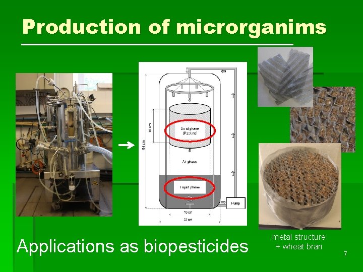 Production of microrganims Applications as biopesticides metal structure + wheat bran 7 