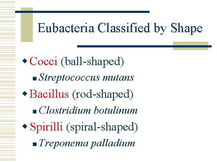 Eubacteria Classified by Shape w Cocci (ball-shaped) n Streptococcus mutans w Bacillus (rod-shaped) n