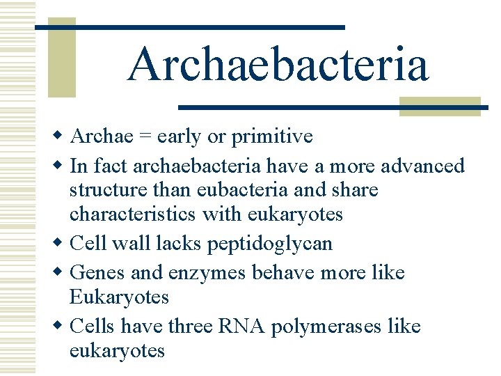 Archaebacteria w Archae = early or primitive w In fact archaebacteria have a more