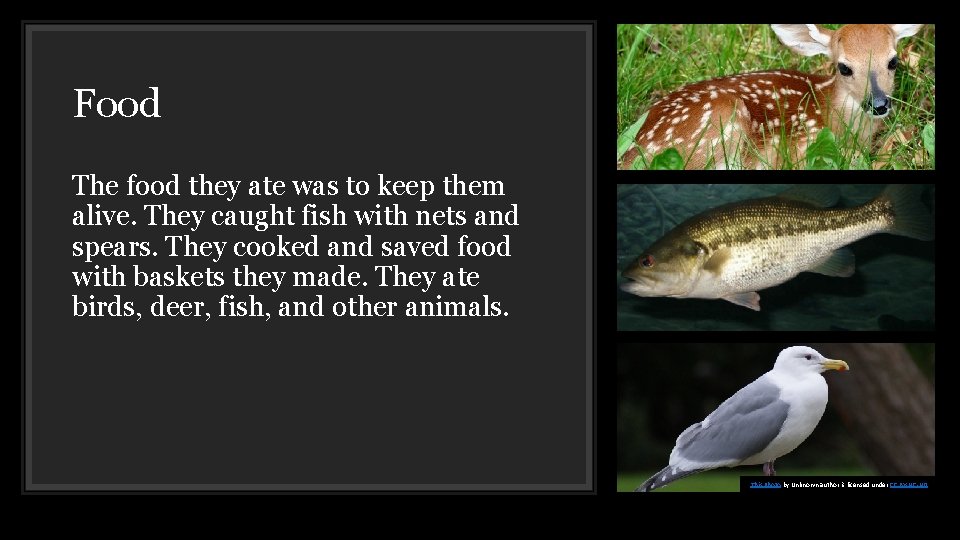 Food The food they ate was to keep them alive. They caught fish with
