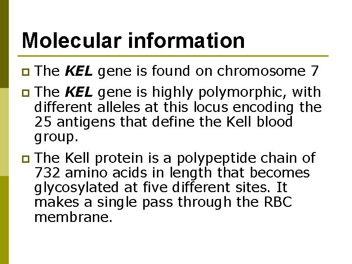 Molecular information p The KEL gene is found on chromosome 7 p The KEL