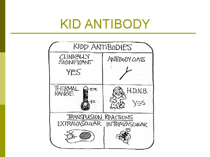 KID ANTIBODY 