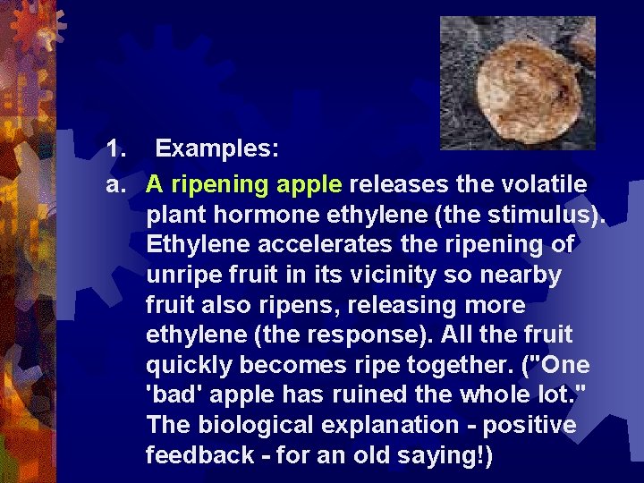 1. Examples: a. A ripening apple releases the volatile plant hormone ethylene (the stimulus).