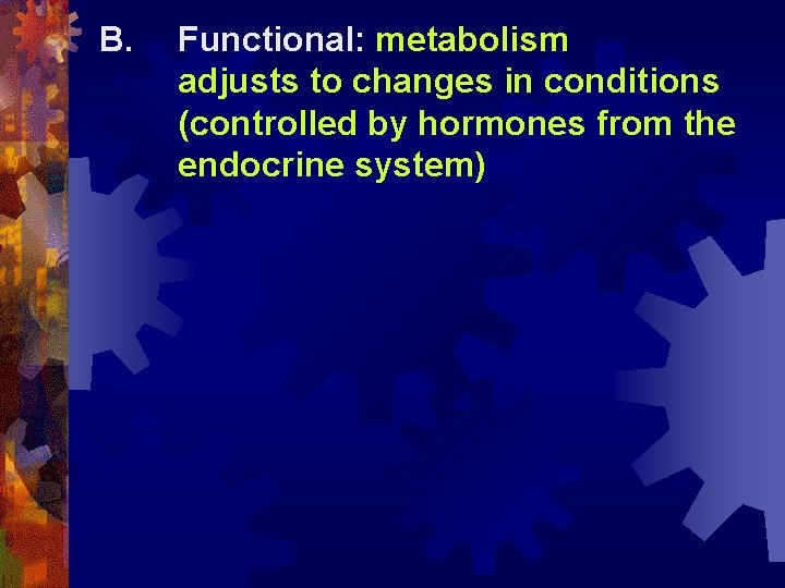 B. Functional: metabolism adjusts to changes in conditions (controlled by hormones from the endocrine