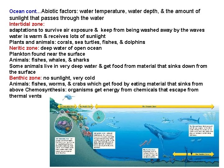 Ocean cont…Abiotic factors: water temperature, water depth, & the amount of sunlight that passes