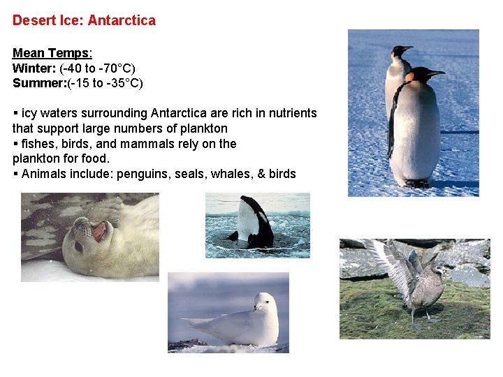 Desert Ice: Antarctica Mean Temps: Winter: (-40 to -70°C) Summer: (-15 to -35°C) §