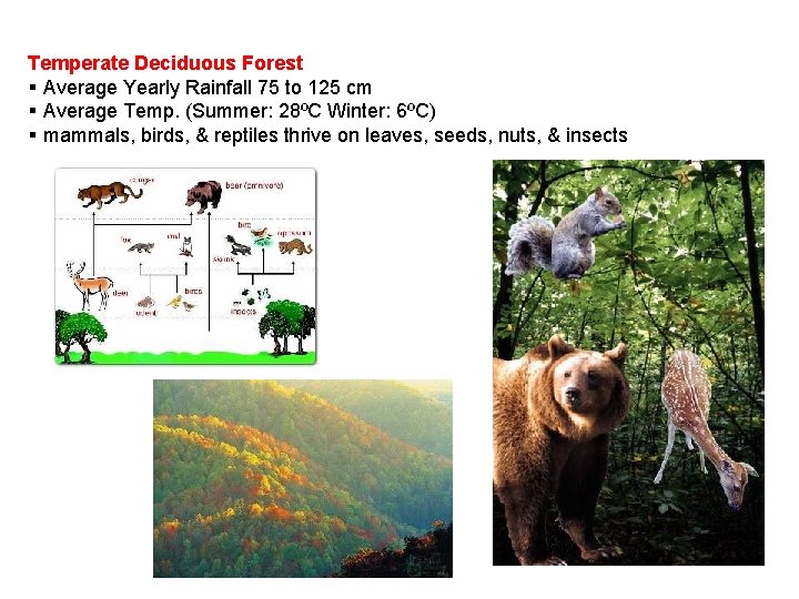 Temperate Deciduous Forest § Average Yearly Rainfall 75 to 125 cm § Average Temp.