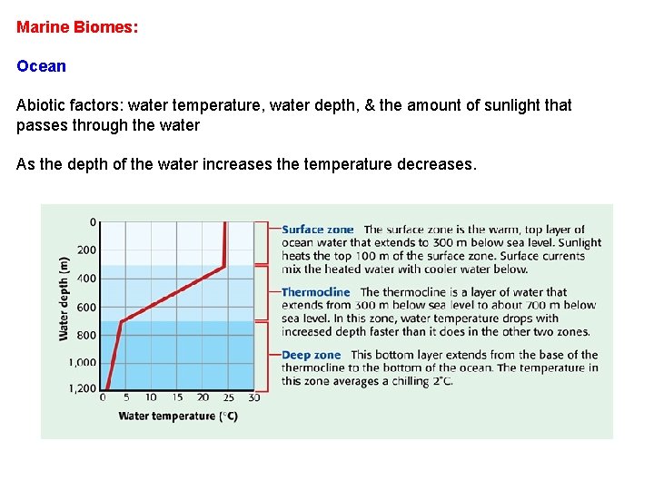 Marine Biomes: Ocean Abiotic factors: water temperature, water depth, & the amount of sunlight