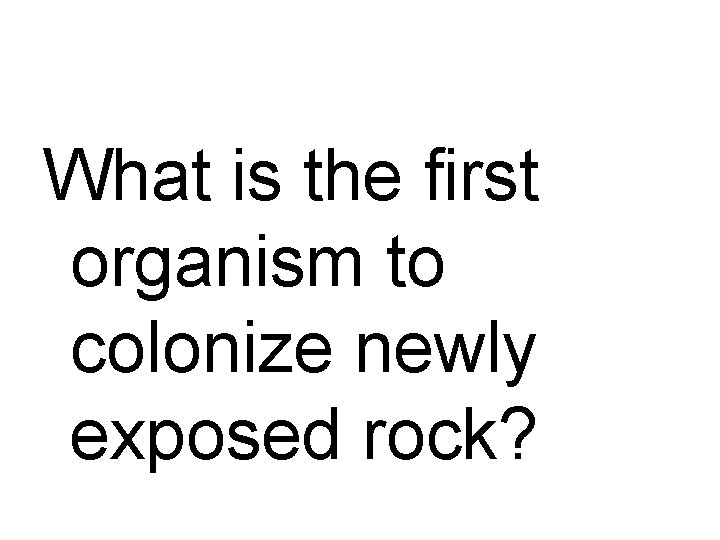 What is the first organism to colonize newly exposed rock? 