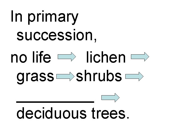 In primary succession, no life lichen grass shrubs _____ deciduous trees. 