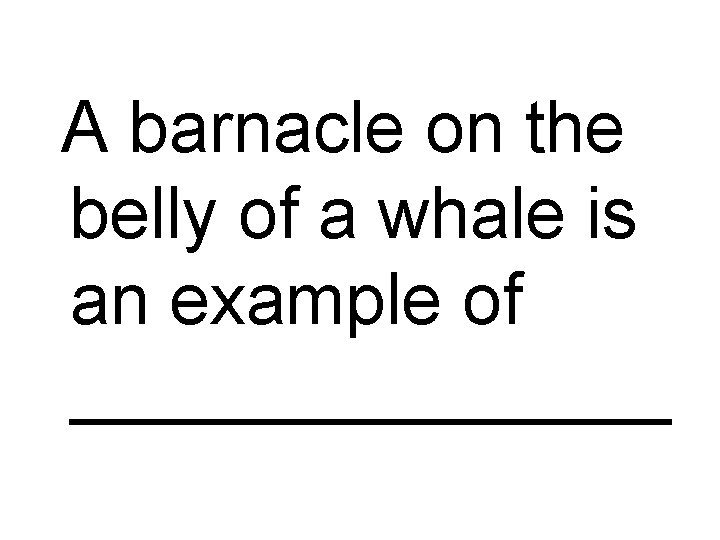 A barnacle on the belly of a whale is an example of ________ 