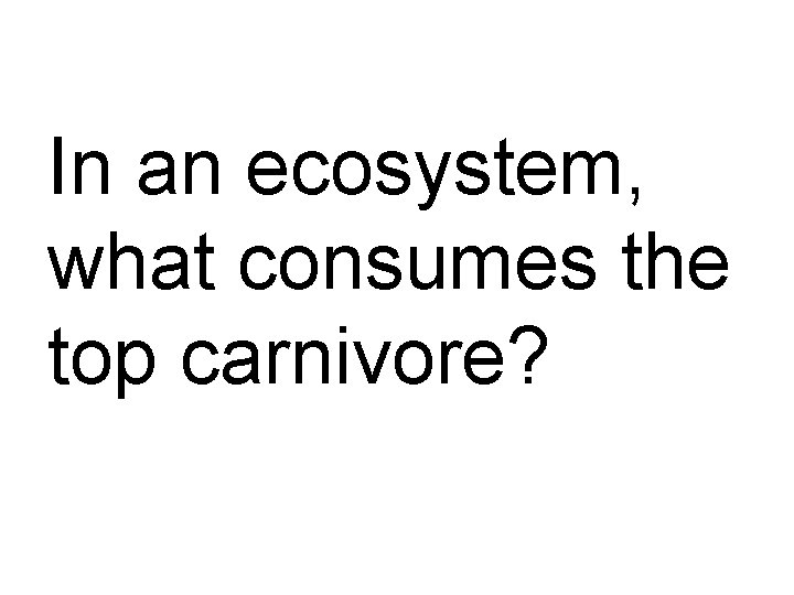 In an ecosystem, what consumes the top carnivore? 