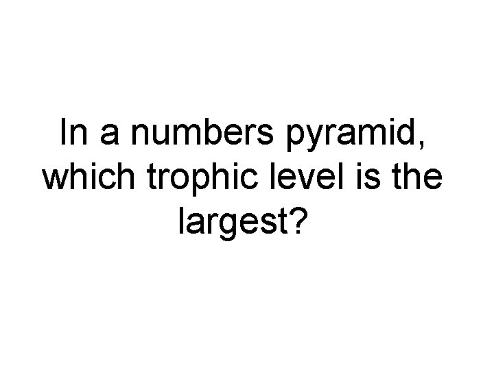 In a numbers pyramid, which trophic level is the largest? 