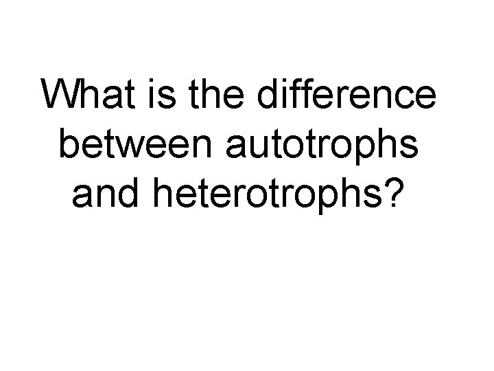 What is the difference between autotrophs and heterotrophs? 