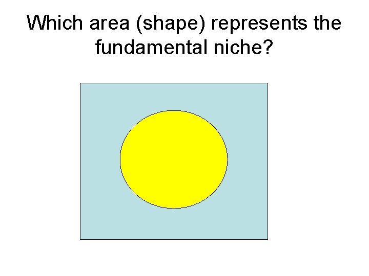 Which area (shape) represents the fundamental niche? 