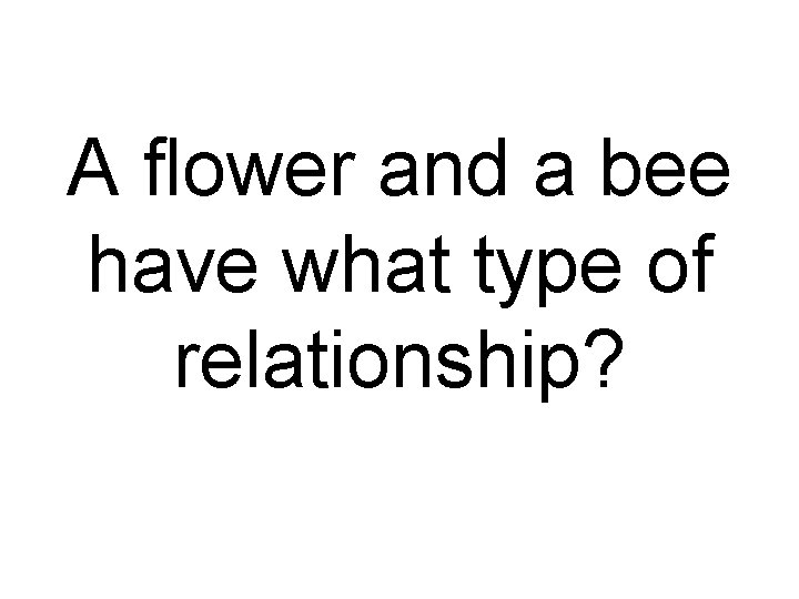 A flower and a bee have what type of relationship? 