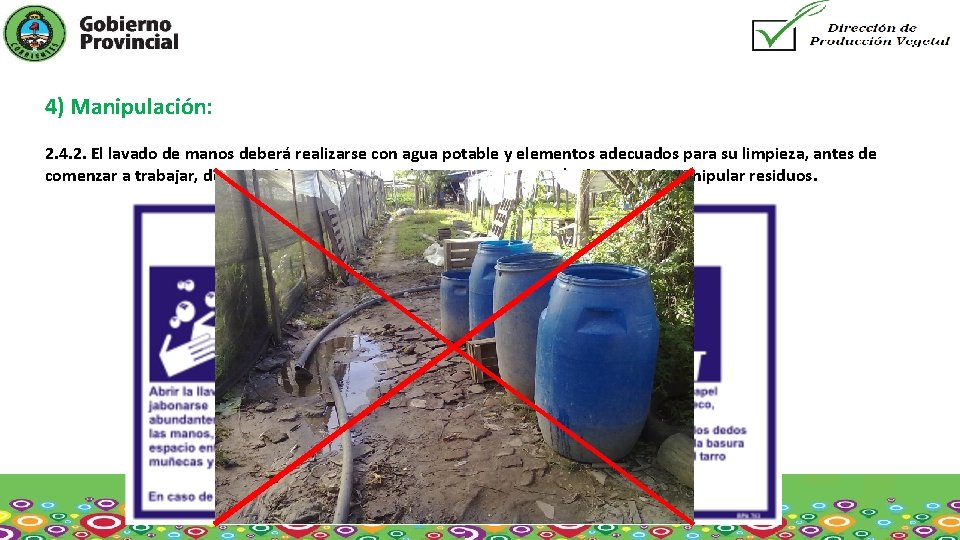 4) Manipulación: 2. 4. 2. El lavado de manos deberá realizarse con agua potable