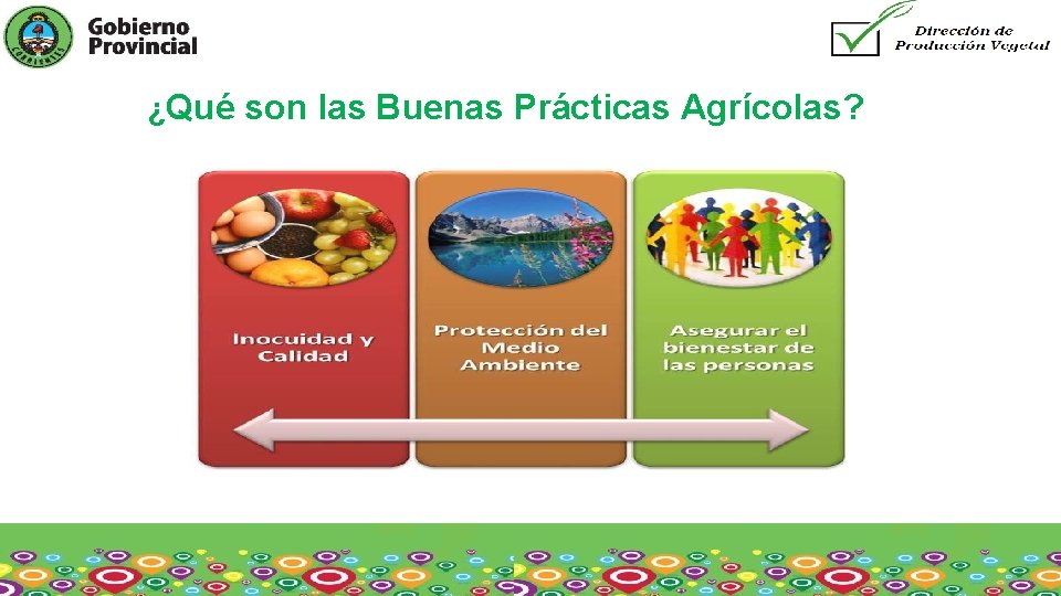 ¿Qué son las Buenas Prácticas Agrícolas? 