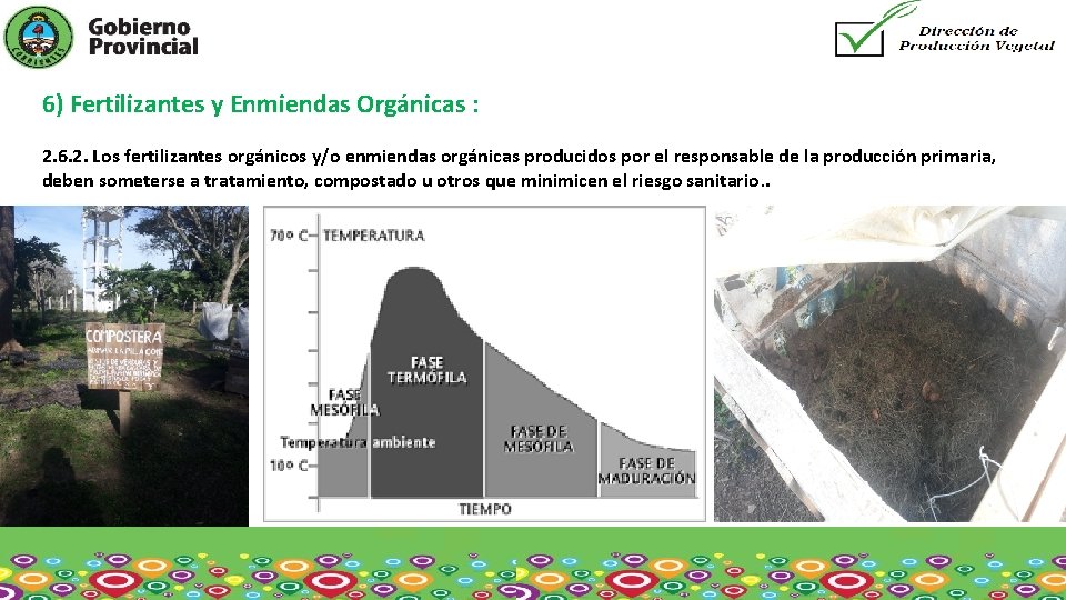 6) Fertilizantes y Enmiendas Orgánicas : 2. 6. 2. Los fertilizantes orgánicos y/o enmiendas