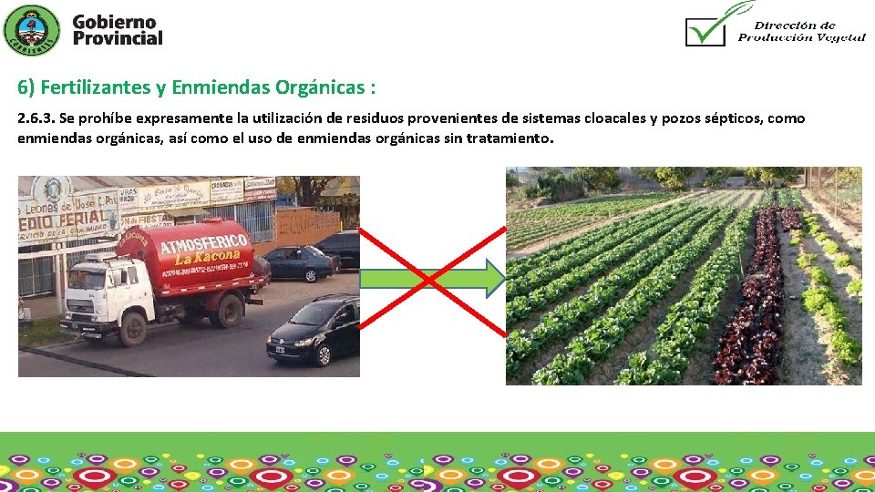 6) Fertilizantes y Enmiendas Orgánicas : 2. 6. 3. Se prohíbe expresamente la utilización