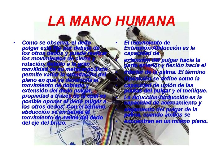 LA MANO HUMANA • Como se observa, el dedo pulgar esta fijo por debajo