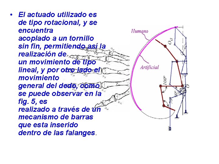  • El actuado utilizado es de tipo rotacional, y se encuentra acoplado a