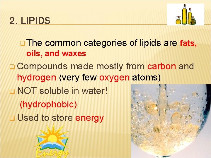 2. LIPIDS q The common categories of lipids are fats, oils, and waxes q