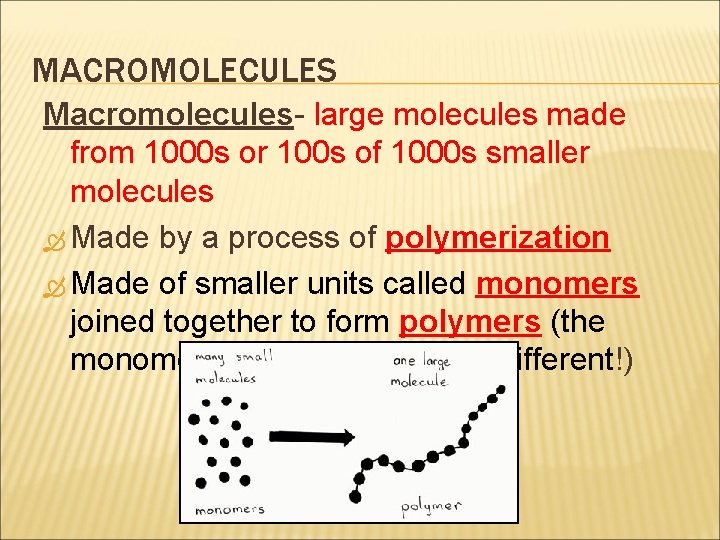 MACROMOLECULES Macromolecules- large molecules made from 1000 s or 100 s of 1000 s