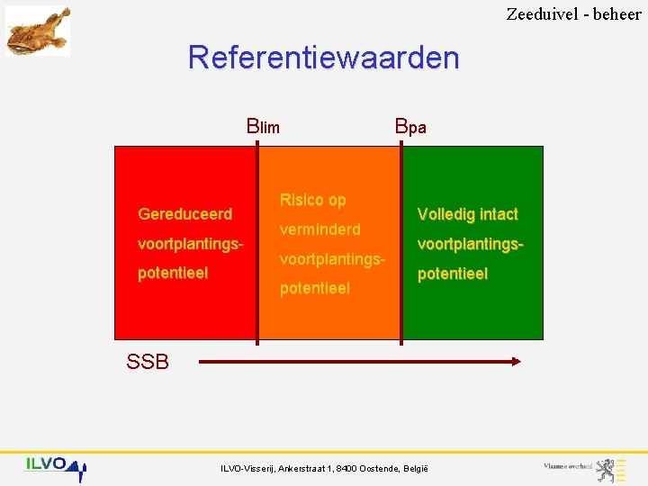 Zeeduivel - beheer Referentiewaarden Blim Gereduceerd voortplantingspotentieel Risico op verminderd voortplantingspotentieel Bpa Volledig intact