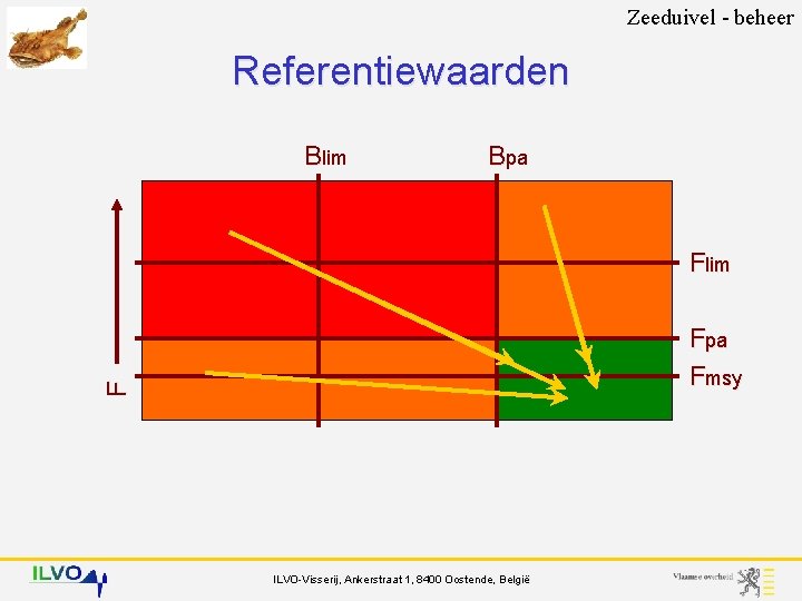 Zeeduivel - beheer Referentiewaarden Blim Bpa Flim F Fpa Fmsy ILVO-Visserij, Ankerstraat 1, 8400