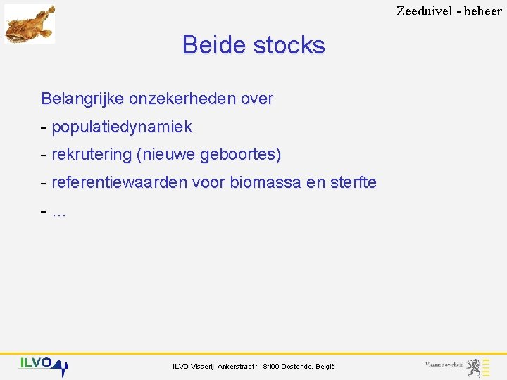 Zeeduivel - beheer Beide stocks Belangrijke onzekerheden over - populatiedynamiek - rekrutering (nieuwe geboortes)