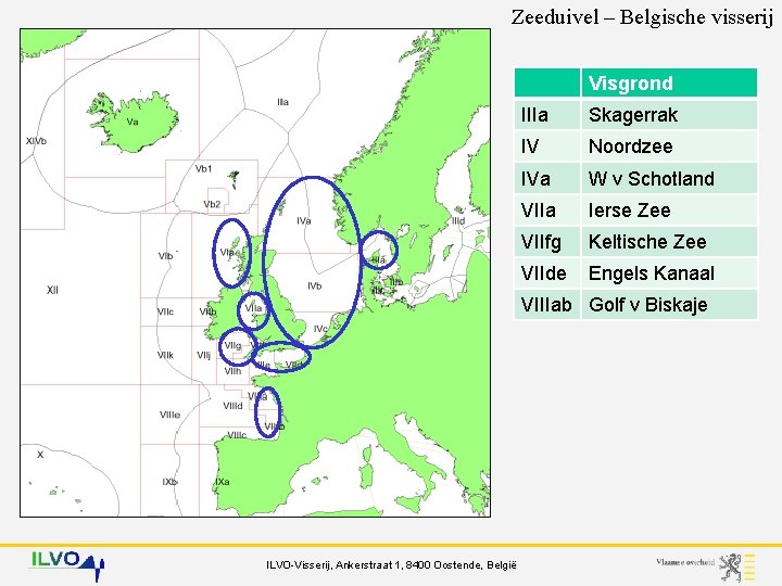 Zeeduivel – Belgische visserij Visgrond IIIa Skagerrak IV Noordzee IVa W v Schotland VIIa