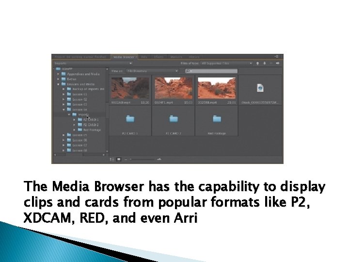The Media Browser has the capability to display clips and cards from popular formats