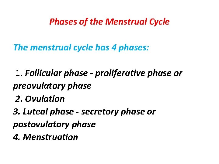 Phases of the Menstrual Cycle The menstrual cycle has 4 phases: 1. Follicular phase