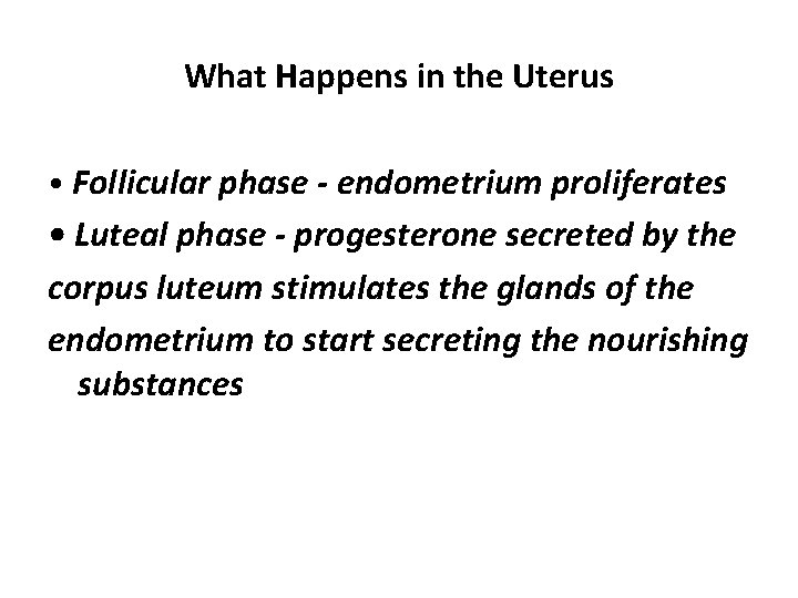 What Happens in the Uterus • Follicular phase - endometrium proliferates • Luteal phase