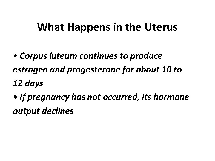 What Happens in the Uterus • Corpus luteum continues to produce estrogen and progesterone