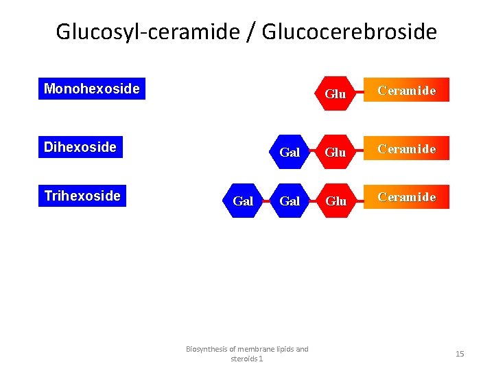 Glucosyl-ceramide / Glucocerebroside Monohexoside Dihexoside Trihexoside Gal Glu Ceramide Biosynthesis of membrane lipids and