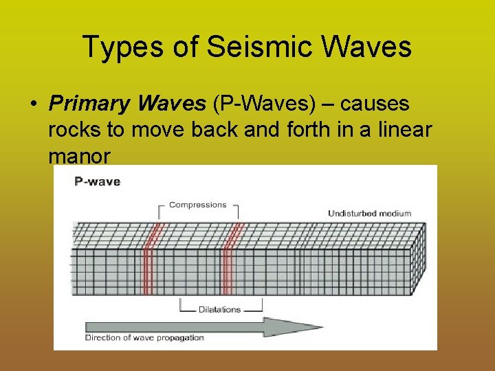 Types of Seismic Waves • Primary Waves (P-Waves) – causes rocks to move back