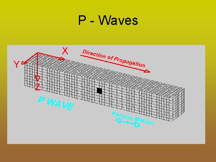 P - Waves 